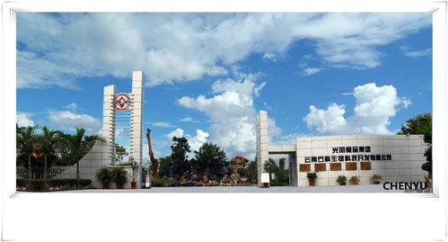 光明食品集團云南石斛生物科技開發與生物技術開發服務