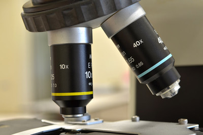 生物經(jīng)濟 定義、核心特征與生物技術(shù)開發(fā)服務的驅(qū)動作用